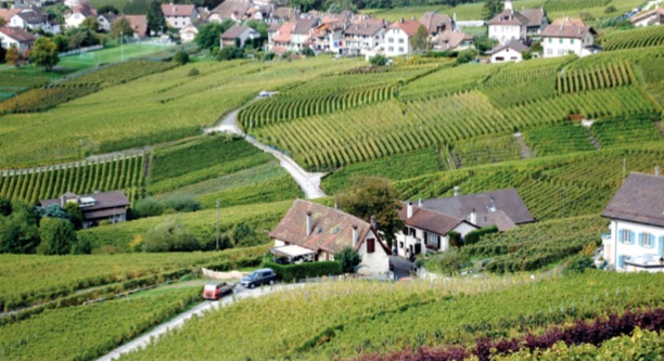 Domaine du Chaney